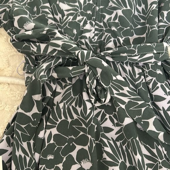 Sage  green and white belted fit-and-flare dress from the GAP. Size small. - Picture 4 of 7